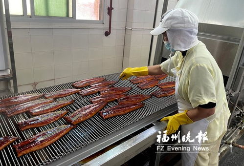 長樂全力打造“海上糧倉” 研發(fā)水產(chǎn)品預(yù)制菜，提升福州海蚌產(chǎn)業(yè)影響力