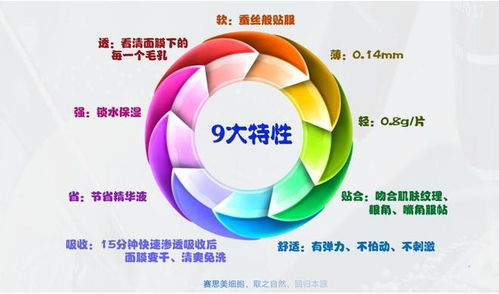 賽思美 以全方位技術(shù)支持賦能合作共贏，引領(lǐng)技術(shù)開發(fā)新篇章